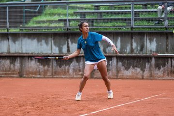 Bild 581 - BL Club an der Alster - THC von Horn und Hamm : Ergebnis: 9:0